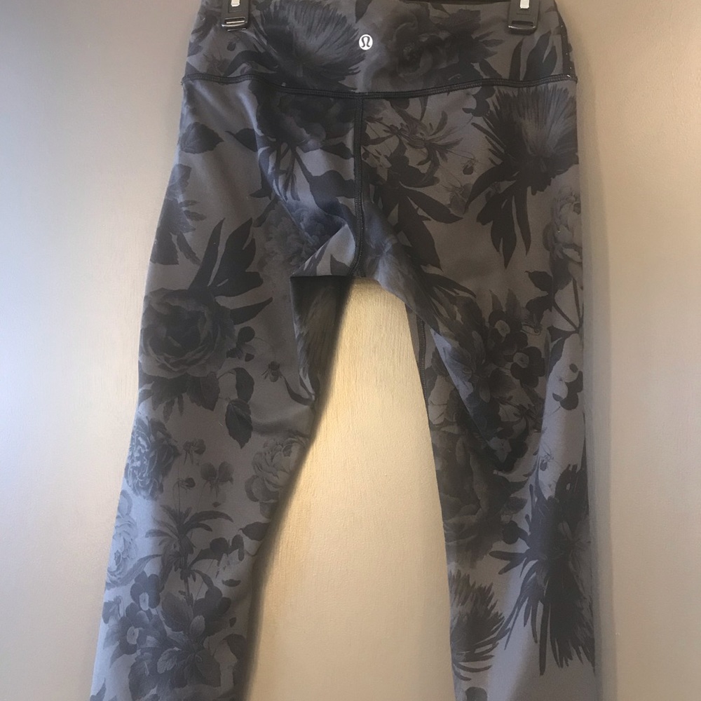 Brisk bloom Wunder under. Sz 8 crops